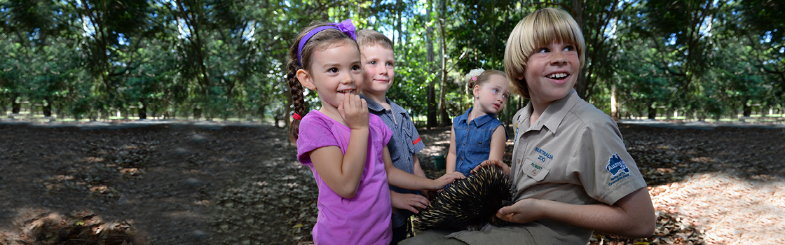 Young Robert Irwin with visitors playing with an animal.