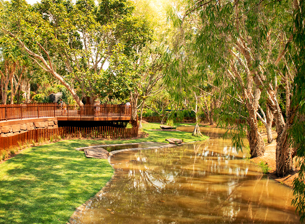 croc habitat