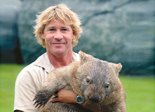 Steve Irwin